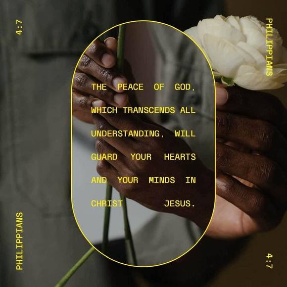 Profile Picture of Ayesha Osborne (@ayeshao99) on Poshmark