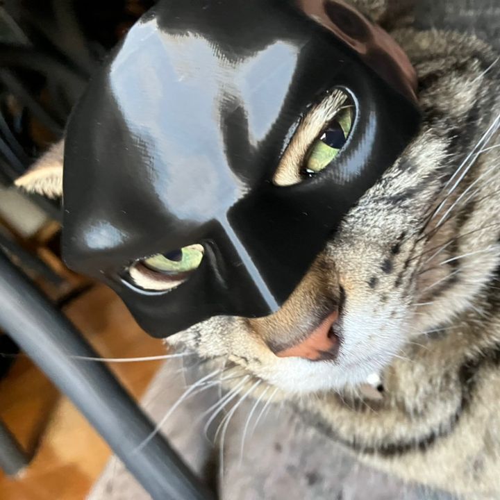 Profile Picture of aᴅᴀᴍ (@adam.rust8) on Tiktok