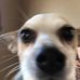 Profile Picture of Larry Kong (@larry.kong.739) on Facebook