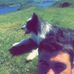 Profile Picture of Kyle McKellar (@kyle.mckellar.1) on Facebook