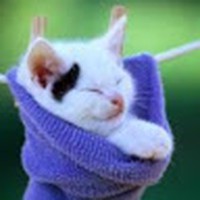 Nicholas Lei - Quora Profile Picture of Nicholas Lei (@nicholas-lei-1) on Quora