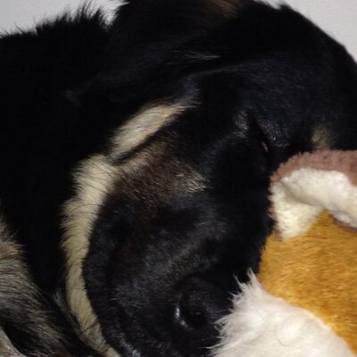 Profile Picture of Andy Lavis (@andy_lavis) on Twitter