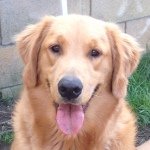 Profile Picture of Buddy Bryant Earley (@buddyadventures) on Instagram