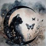 Profile Picture of Pat Krause (@pat.krause.716) on Facebook