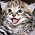 Profile Picture of karen marie detweiler (@kmariedetweiler) on Instagram