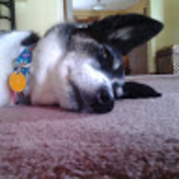 Profile Picture of Charles Darling (@charles_darling) on Poshmark