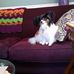 Profile Picture of Bruce Bugbee (@bruce.bugbee.165) on Facebook