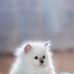 Profile Picture of Fei Zhang (@fei.zhang.14019338) on Facebook
