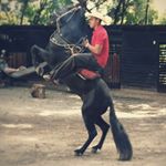 Profile Picture of Danny Taborda (@danny9157) on Instagram