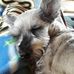 Profile Picture of Lorrie Anderson (@lorrie.anderson.712) on Facebook