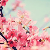 Profile Picture of Jessica Tompkins (@jessicatompkins9733) on Youtube