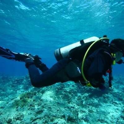 Profile Picture of Tyler Preston (@divejedi) on Twitter