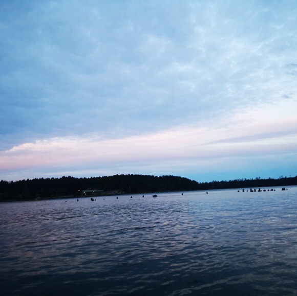 Profile Picture of Holly Crowhurst (@birdhurst13) on Poshmark