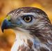 Profile Picture of David Aster (@david.aster.1829) on Facebook