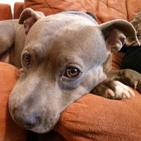 Profile Picture of Brad Hutcheson (@brad-hutcheson) on Quora