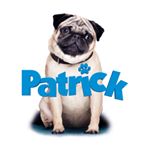 Profile Picture of Patrick (@pugactually) on Instagram