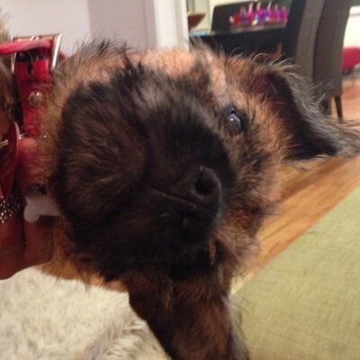 Profile Picture of Richard Llewellyn (@richllewellyn) on Twitter