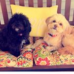 Profile Picture of Rory & Bailey (@rorylovesbailey) on Instagram