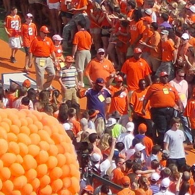 Profile Picture of Ted Harris (@tedh41) on Twitter