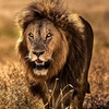 Profile Picture of Harsh Desai (@@user44618101) on Tiktok