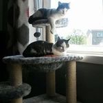 Profile Picture of Barbara Nicholson (@barbara.nicholson.14) on Instagram