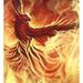 Profile Picture of Daniel Sellerd (@danielsellerd) on Pinterest