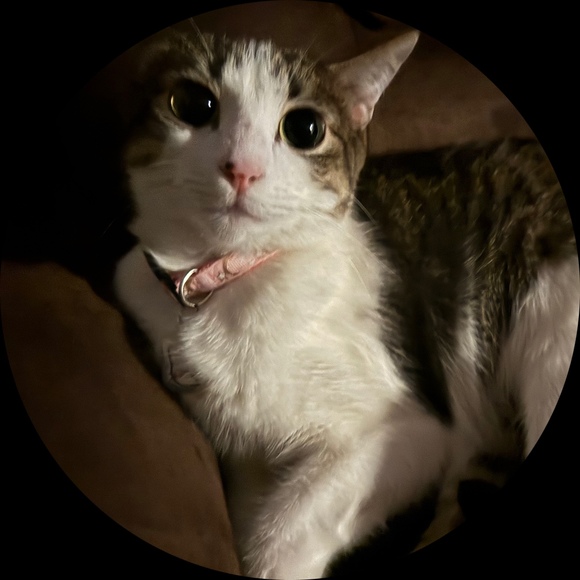 Profile Picture of Alex V (@ybvrn) on Poshmark