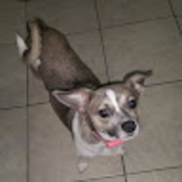 Profile Picture of Bailey Lindholm (@blindholm12) on Poshmark