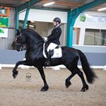 Profile Picture of Nynke Bouma Vaatstra (@nynkeboumavaatstra) on Instagram