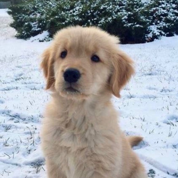 Profile Picture of Steven Rivas (@stevenr8) on Poshmark