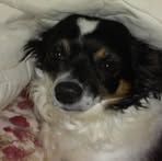 Profile Picture of Lillian Blakely (@Lillian-Blakely) on Facebook
