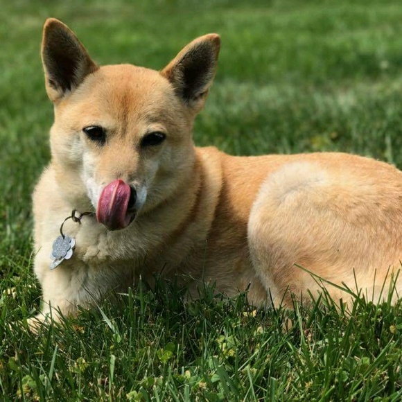 Profile Picture of Mike Hwang (@themomo79) on Poshmark