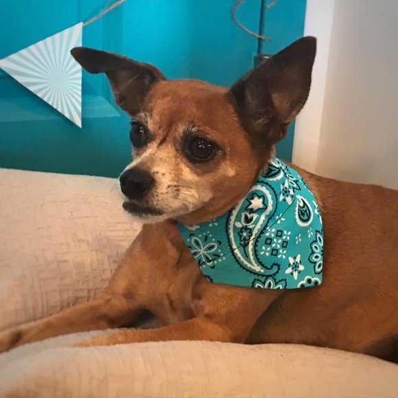 Profile Picture of John Rabb (@johnerabb) on Poshmark