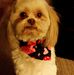 Profile Picture of Wayne Michaud (@wayne.michaud.33) on Facebook