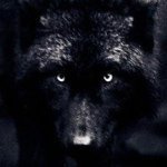 Profile Picture of Pavel Fomin (@pavelfomin) on Instagram