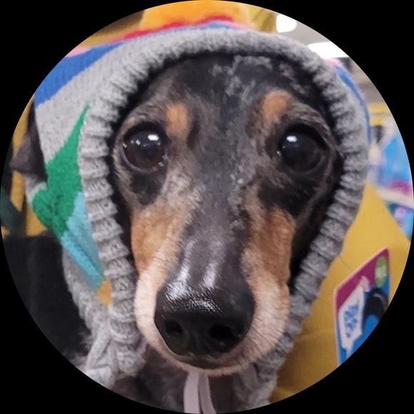 Profile Picture of Jadyn Grassinger (@jadyngrassinger) on Poshmark