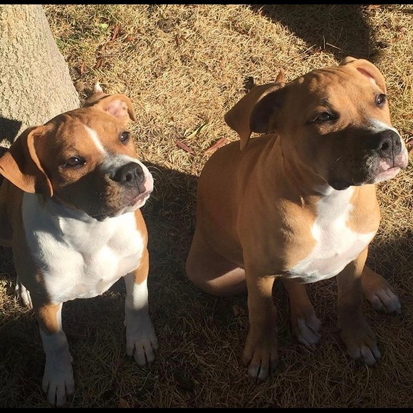 Profile Picture of Alaura Filyau (@alaura_filyau) on Poshmark