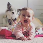 Profile Picture of Jason Windell (@jasonwindell83) on Instagram