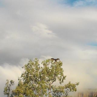 Profile Picture of Jason Kehoe (@jason.kehoe.127) on Facebook