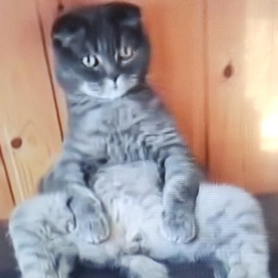 Profile Picture of Trisha Edwards (@TrishaE06300301) on Twitter