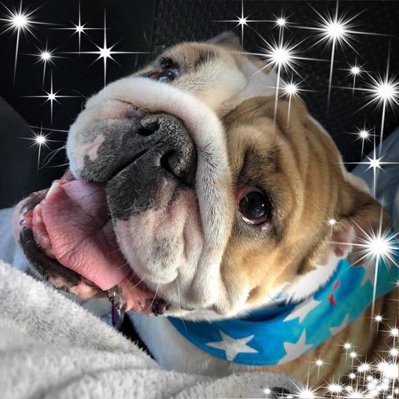 Profile Picture of Sue Przybyla (@sueandjared) on Poshmark