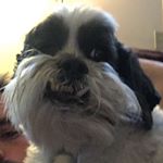 Profile Picture of Randall J. Bosley (@bosinator3000) on Instagram