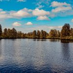 Profile Picture of patrickconner (@_patrick_conner_) on Instagram