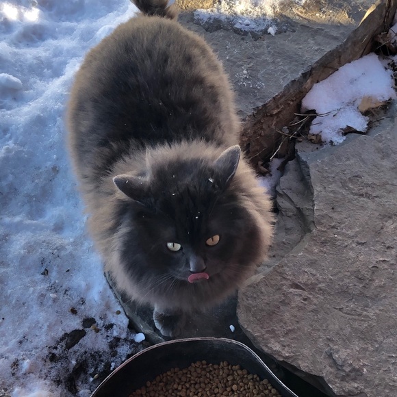 Profile Picture of Barbara Walters (@barbarawalte267) on Poshmark