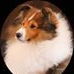 Profile Picture of Jimmy Hudson (@jimmy.hudson.353) on Facebook