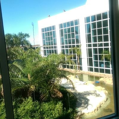 Profile Picture of Bradley Cooper Valle (@johanvalle1) on Twitter