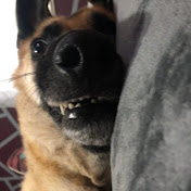 Profile Picture of Michael Gilbert (@user-dx9qb6mu8h) on Youtube