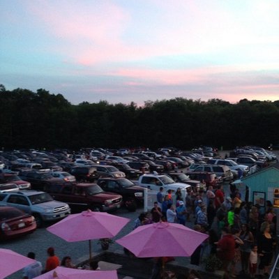 Profile Picture of Mike Andelman (@mikeandelman) on Twitter