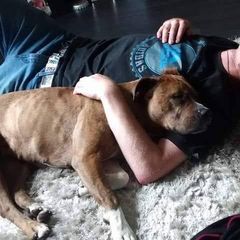Profile Picture of Mark Gibbins (@mark.gibbins) on Tiktok