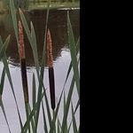 hugh_warrenc - Instagram Profile Picture of hugh_warrenc (@hugh_warrenc) on Instagram